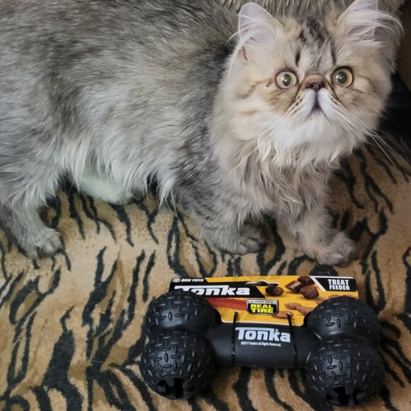 Dog Tonka Tire Dumbbell Toy Treat Feeder Tough Large Dog! - Picture 4 of 4